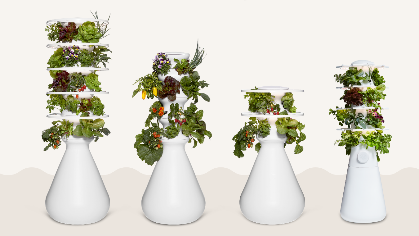 How To Choose The Farmstand That’s Right for You