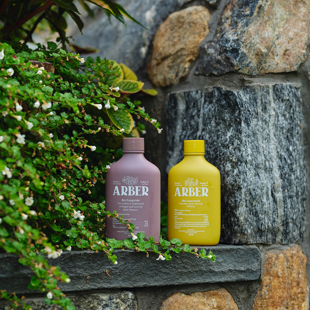 arbers_organic_approach_in_blog_image