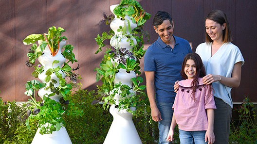 What in the World Is a Distributed Farm?