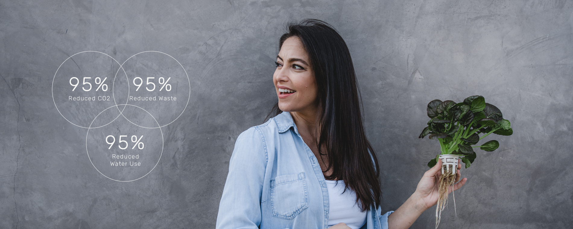 Lettuce Grow by numbers-hero-v2