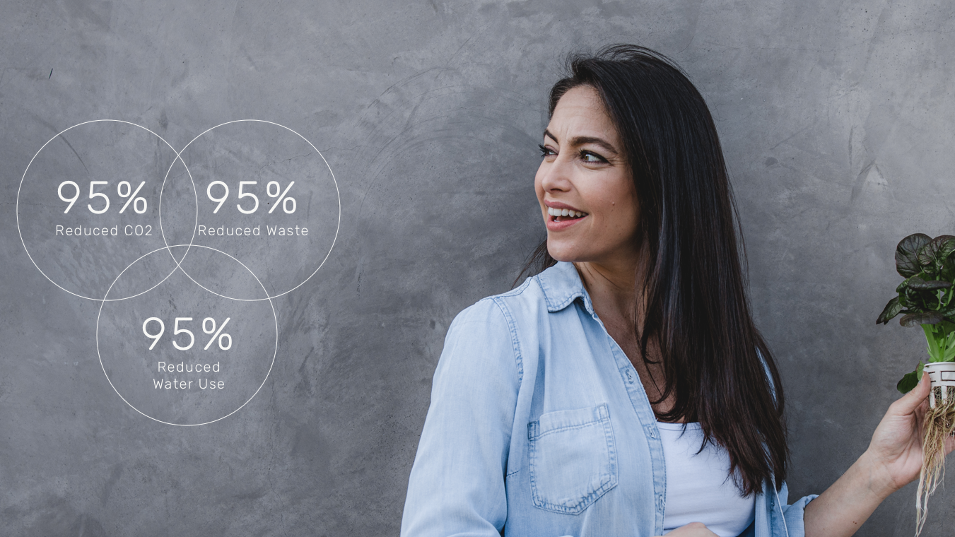 Lettuce Grow by the Numbers