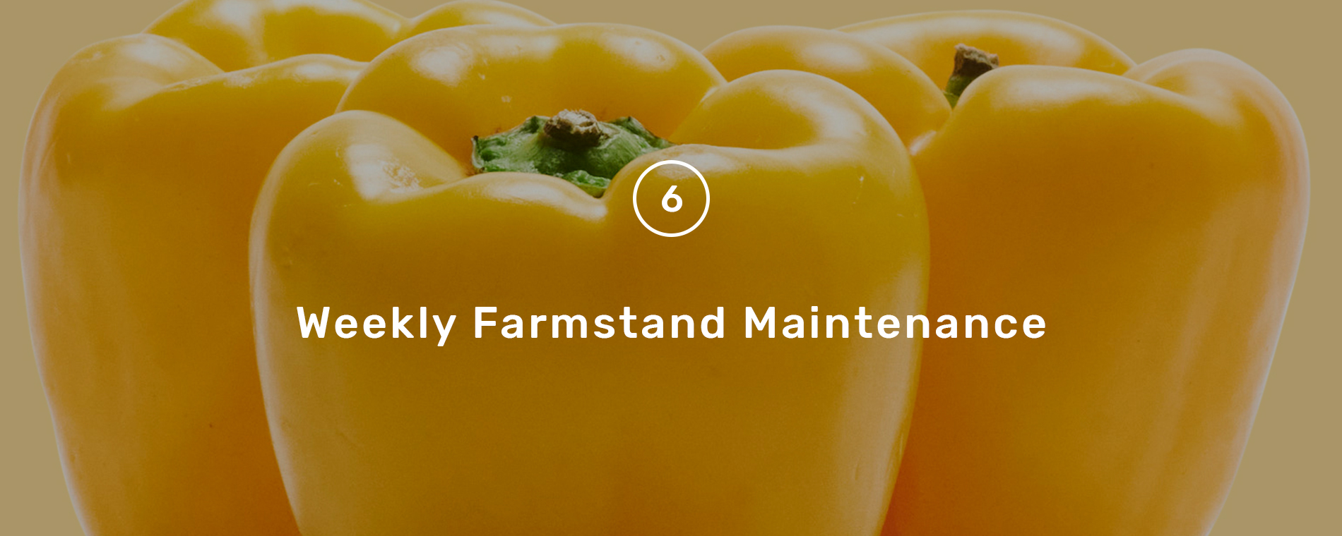 weekly_maintenance_hero