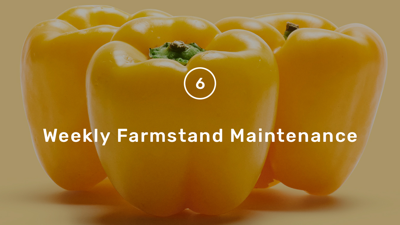 Grow Guide step 6 - weekly maintenance