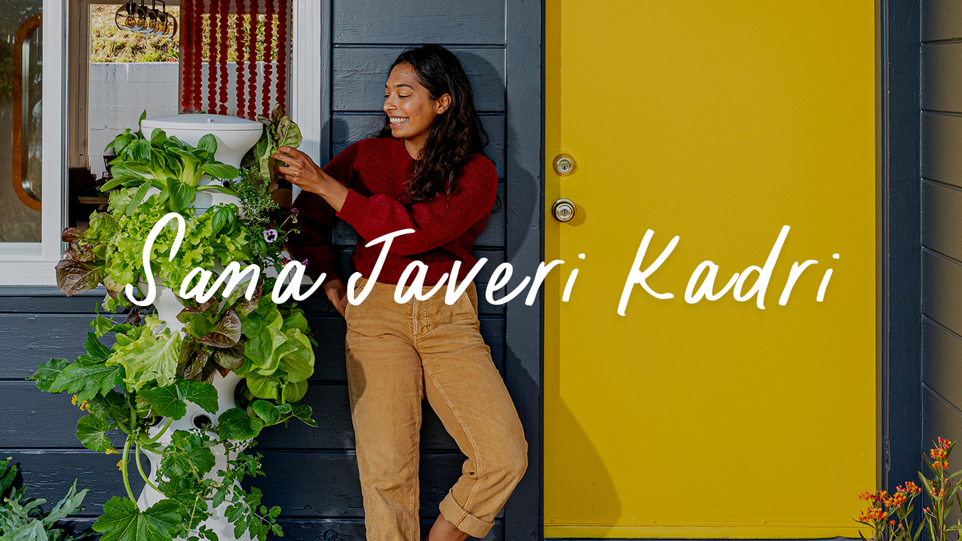 CIR - Sana Javeri Kadri